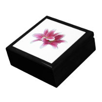 Lilies Arm in Arm gift boxes