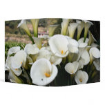 Lilies at Calla Lily Plantation, Taiwan binders