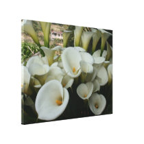 Lilies at Calla Lily Plantation, Taiwan canvas prints