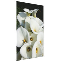 Lilies at Calla Lily Plantation, Taiwan canvas prints
