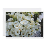 Lilies at Calla Lily Plantation, Taiwan Personalized Invitation