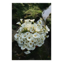 Lilies at Calla Lily Plantation, Taiwan photography