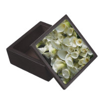 Lilies at Calla Lily Plantation, Taiwan premium gift boxes