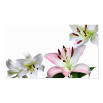 Lilies Business Card