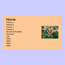 Lilies business cards