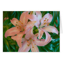 Lilies Greeting Card