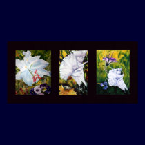 Lilies Collage Print