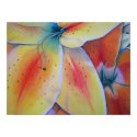 Lilies Fine Art Print
