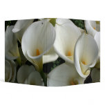 Lilies growing at Calla Lily Plantation, Taiwan binders