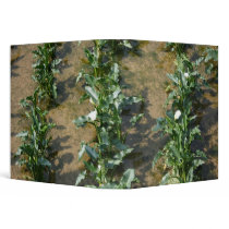Lilies growing at Calla Lily Plantation, Taiwan 3 Ring Binder