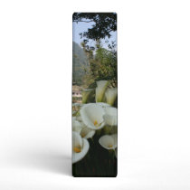Lilies growing at Calla Lily Plantation, Taiwan Vinyl Binder