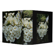 Lilies growing at Calla Lily Plantation, Taiwan Binder