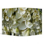 Lilies growing at Calla Lily Plantation, Taiwan binders