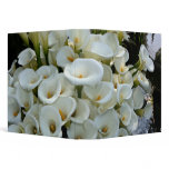Lilies growing at Calla Lily Plantation, Taiwan binders