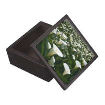 Lilies growing at Calla Lily Plantation, Taiwan premium gift boxes