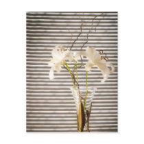 lilies in a vase postcards by neroli lilies in a vase postcards