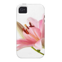 Lilies iPhone 4/4S Covers