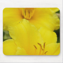 Lilies mousepads