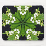 lilies of the valley, lily of the valley, flower,