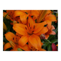 Lilies Poster posters
