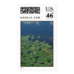 Lilies Stamp