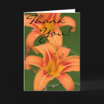 Lilies - Thank You! cards by clarionphoto Lilies - Thank You! cards