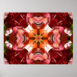 Lilies Times Four Abstract Art Poster posters