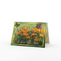 Lilies under the Redbud- customize any occasion cards