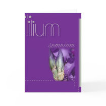 ::: LILIUM ::: ART-CARD