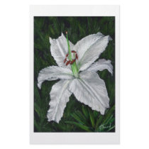 lilium casa blanca stationery paper