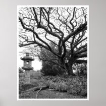 Liliuokalani Park - Hilo Hawaii Print