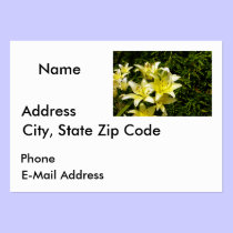 Lillies 1 business cards