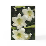 Lillies cards