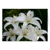 Lillies cards by bseth99 Lillies cards