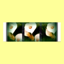 Lillies collage.jsj posters