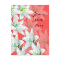 Lillies for love postcards by nefera Lillies for love postcards