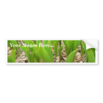 Lillies Green bumper stickers