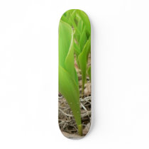 Lillies Green skateboards