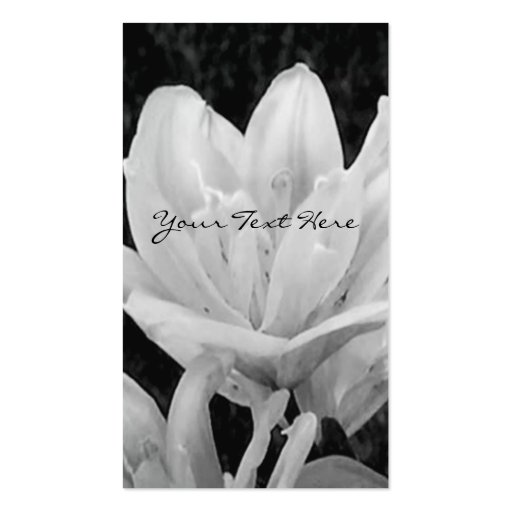 Lillies in Black & White Profile Card Business Card (back side)