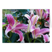 Lillies in Bloom cards