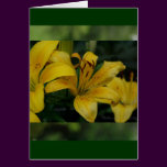 Lillies in Green