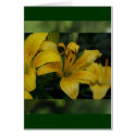 Lillies in Green cards by iiiyaaa Lillies in Green cards
