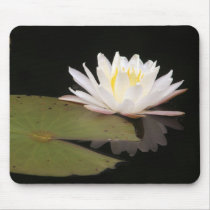 Lillies mousepads