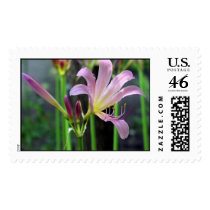 lillies postage by elmegil lillies postage