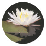 Lillies Sticker