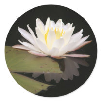 Lillies stickers by wildlifezoo Lillies stickers