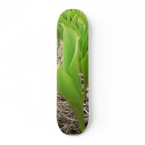 Lillies Valley skateboards