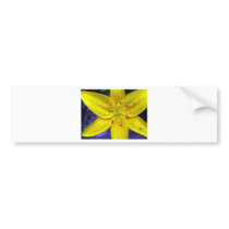 Lilly Bumper Sticker