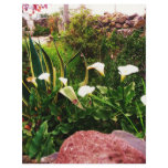 Lilly Flowers & Rock Mexico Customized Letterhead