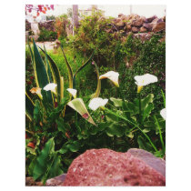 Lilly Flowers & Rock Mexico Customized Letterhead